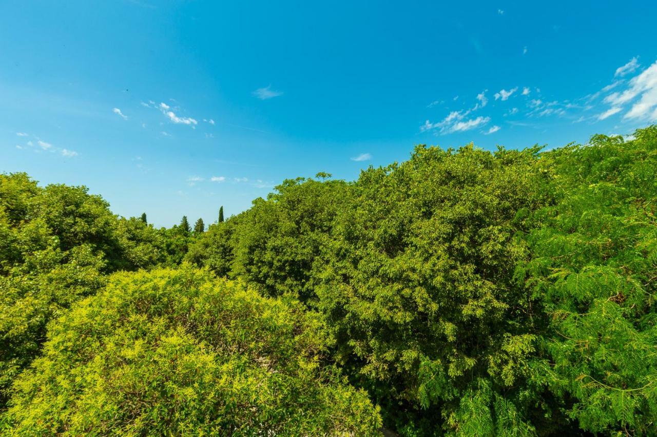 ドゥブロブニクHedera Estate, Hedera A1アパートメント エクステリア 写真